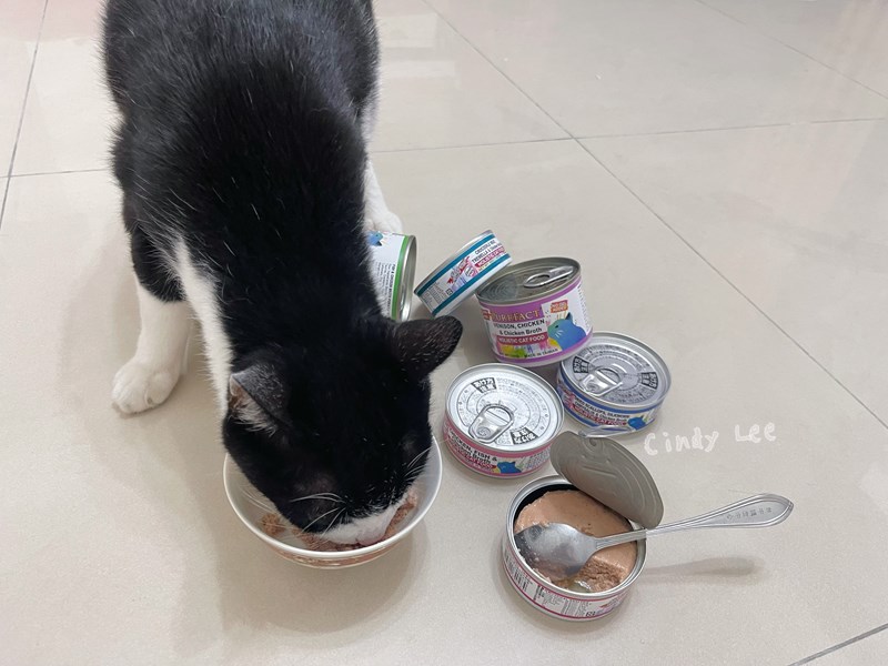 女人知己試用大隊,口碑行銷,部落客行銷,PURRFACT 波菲特貓用主食罐,主食罐,PURRFACT波菲特,貓主食罐,貓罐,PURRFACT波菲特貓用主食罐,魚肉蔓越莓主食罐,鮮嫩雞主食罐,鹿肉雞肉主食罐,牛肉鵪鶉貓主食罐,干貝蠶蛹配方,鱷魚肉白木耳配方,雞肉魚肉配方,安心鶉配方,評價,體驗,適口性佳,心得,成貓適用,高齡貓適用,質地是慕絲狀